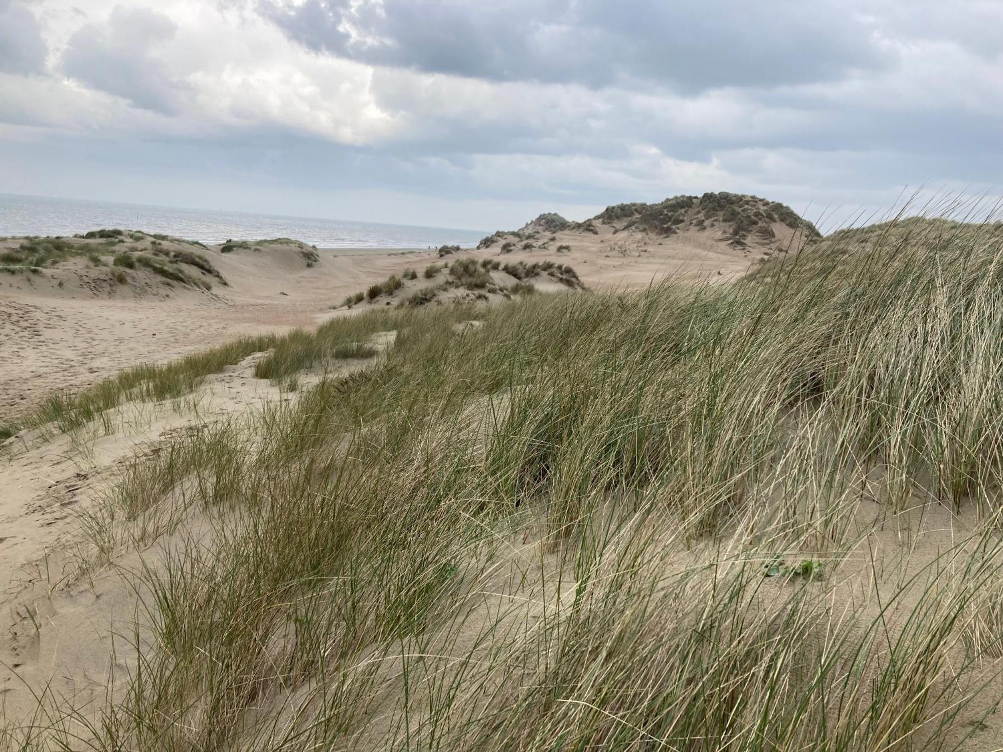 Vila Terduinen Oostduinkerke Exteriér fotografie